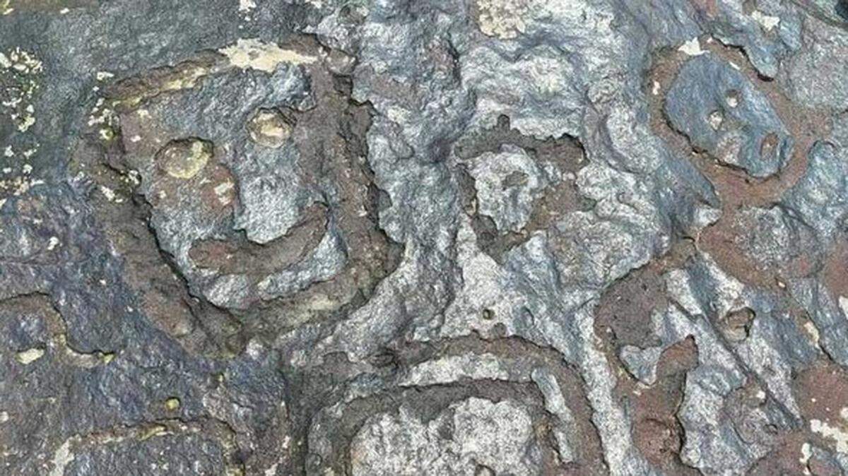 Ancient carvings revealed by Amazon River drought: photos | Miami